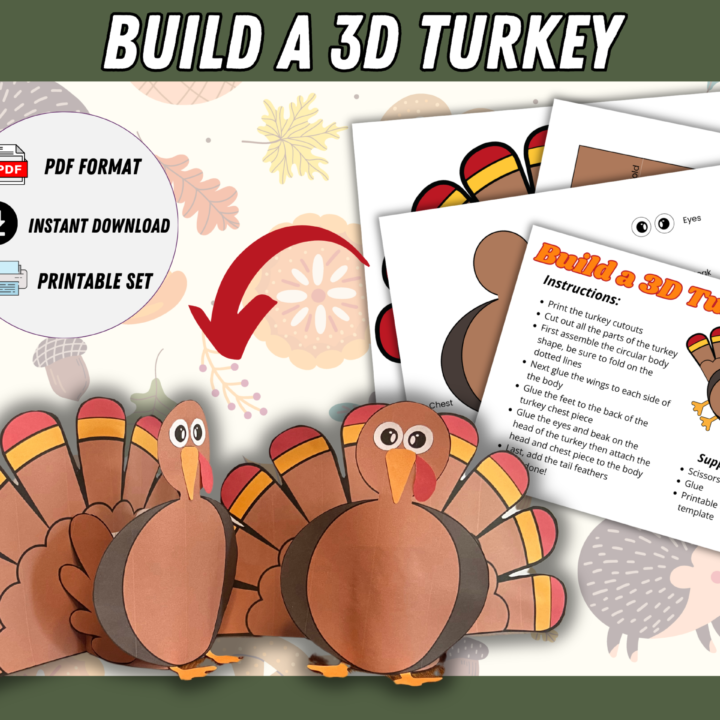 Build a 3D Turkey